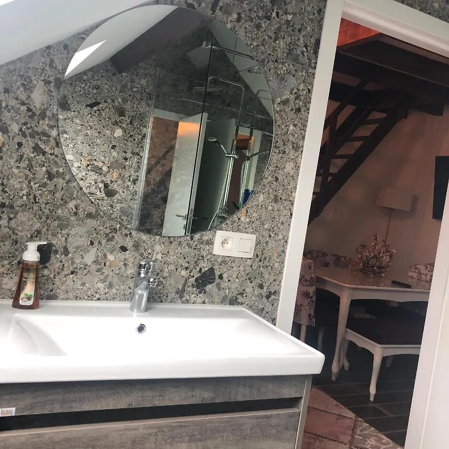 Duplex Apartment Antwerp